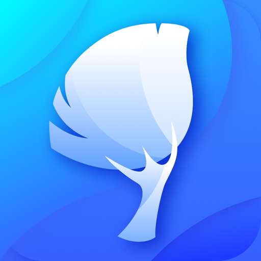 小树缓存清理工具