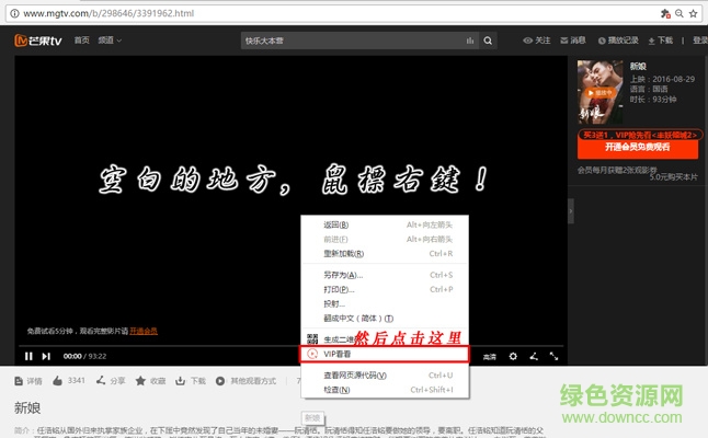 vip看看插件 vip看看插件下载
