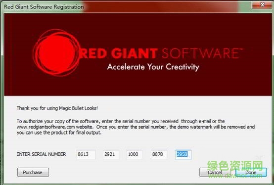 Magic Bullet Looks中文版