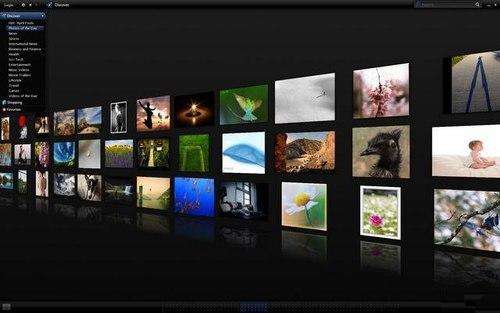 花花公子图片浏览器