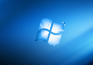 hedex lite客户端下载v2.0 免费版