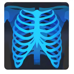 Sante DICOM Viewer Free下载免费版