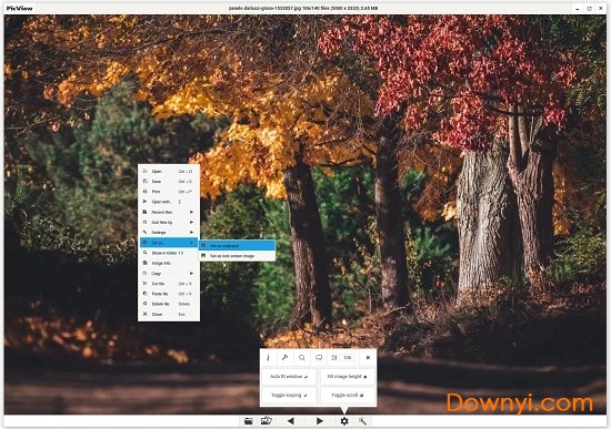 pic view软件 PicView图片浏览器