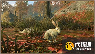 明日之后野兔出没怎么玩