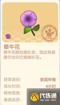 摩尔庄园手游牵牛花有什么用
