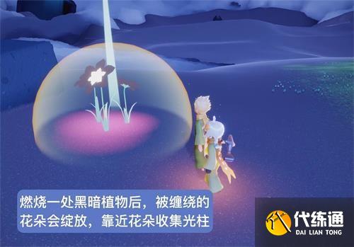 光遇小王子季玫瑰花园在哪