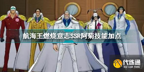 航海王燃烧意志SSR阿菊技能加点