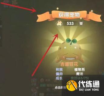 《摩尔庄园手游》精灵怎么放生