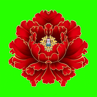 绿植花卉手机版下载v10.0.5 安卓版