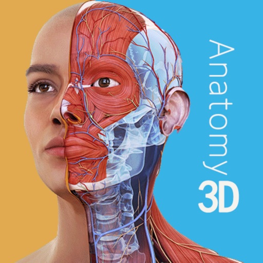 人体解剖学图谱 - 2025【专业版】