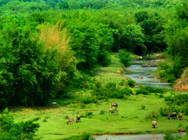 一个小村庄的故事ppt课件