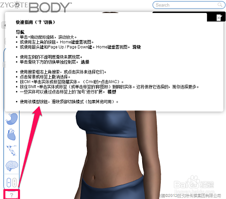 谷歌人体浏览器