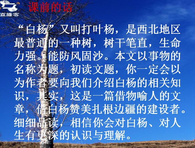 白杨ppt课件免费