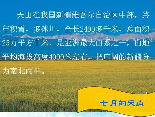 七月的天山ppt课件
