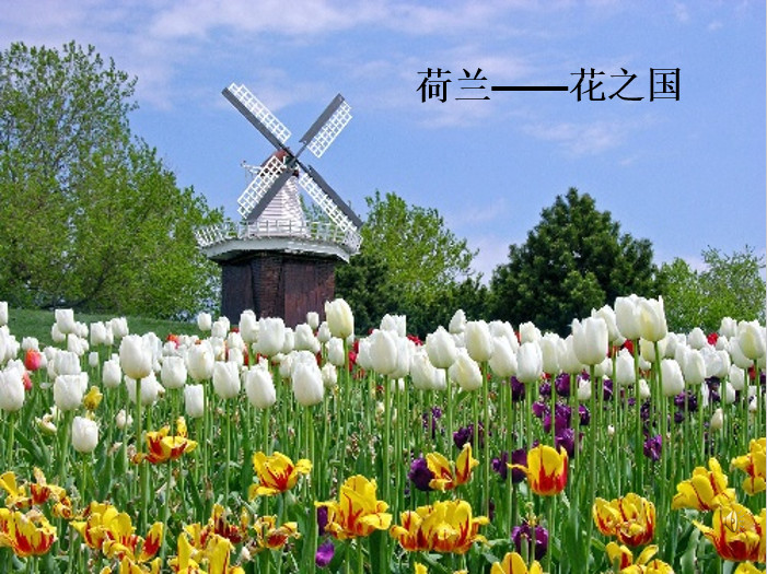 牧场之国ppt课件