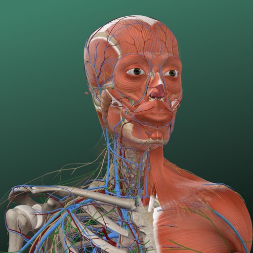 万康人体解剖-3dbody解剖