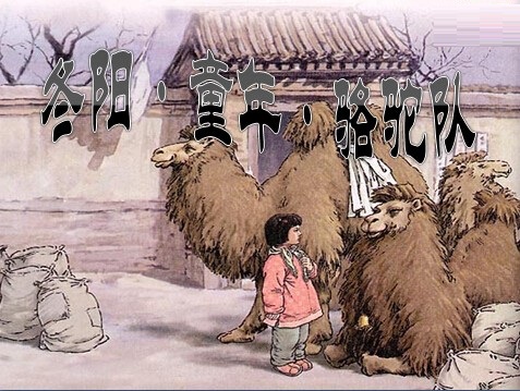 冬阳童年骆驼队课件