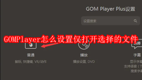 GOMPlayer怎么设置仅打开选择的文件