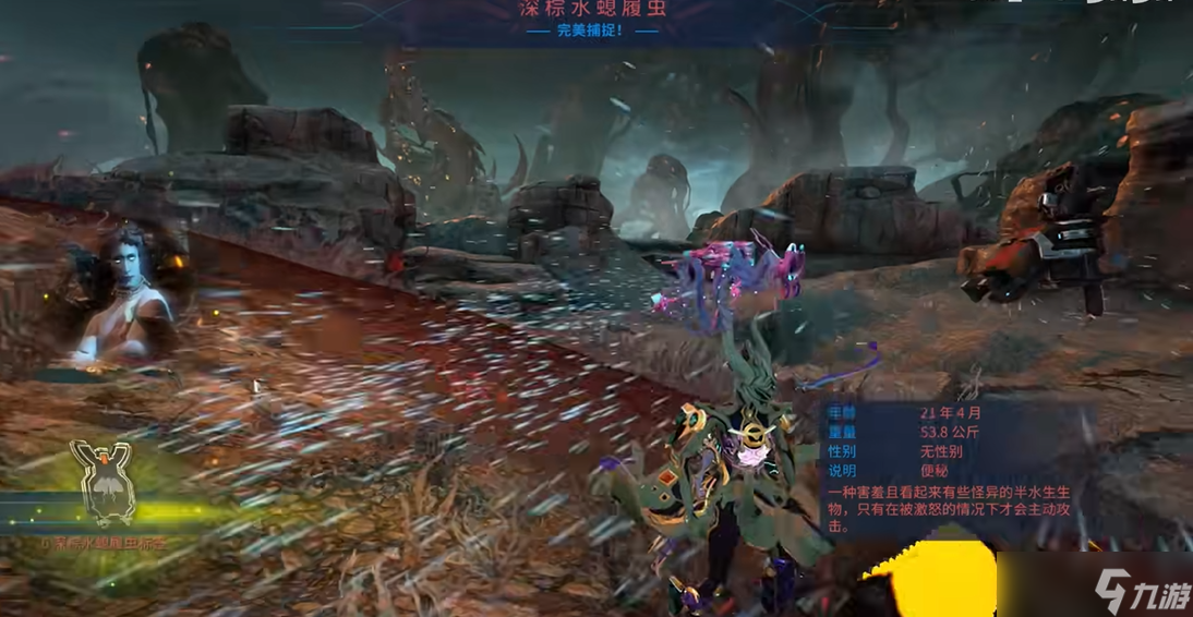 星际战甲小动物怎么抓