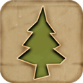 纸片森林最新版下载v3