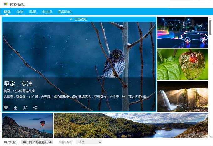 微软壁纸桌面版软件 微软壁纸桌面版