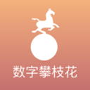 数字攀枝花