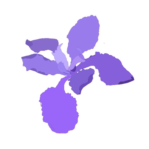 Project Iris - 手表浏览器