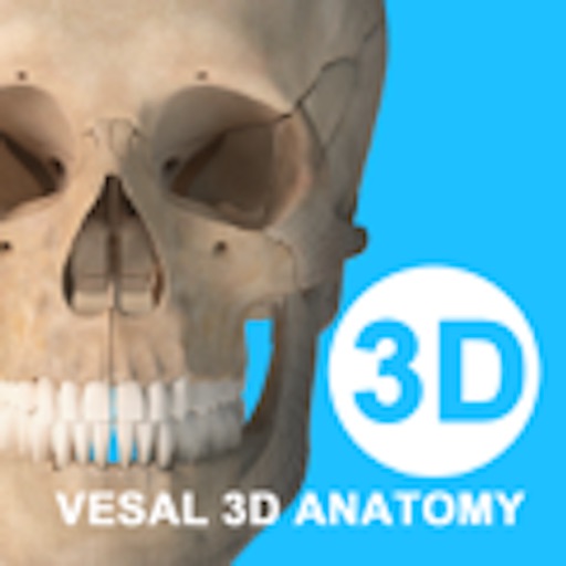 维萨里3D解剖-开学必备解剖工具
