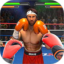 超强格斗对决无广告下载安装v1.2