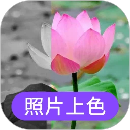 鸿蒙版【照片上色】官方下载_照片上色鸿蒙手机APP免费下载