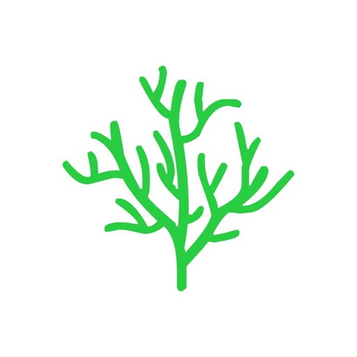 年轮3_艾宾浩斯高效规划记忆