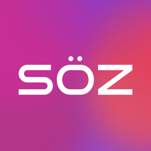 语音转文字录音转写实时会议笔记自动摘要Soz